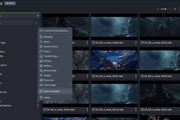 2 iconik integration_cineSync 5.3.3_Nov 23